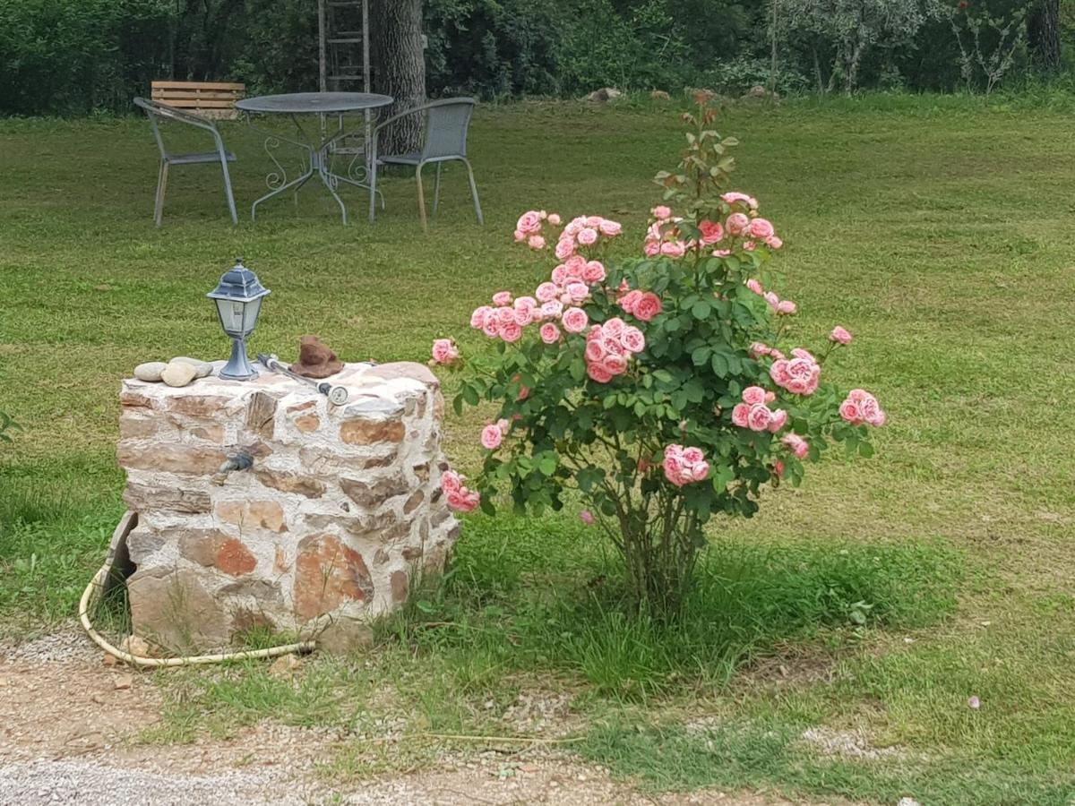 Le Jardin Des Selves Bed and Breakfast Draguignan Buitenkant foto